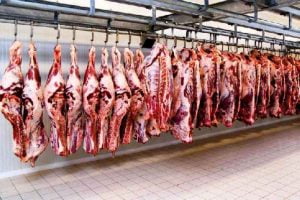 ۵۴۹ کیلوگرم گوشت احتکار شده در ایلام وارده چرخه توزیع شد
