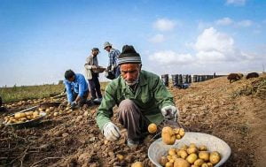۱۵۰ میلیارد ریال تسهیلات اشتغالزایی به روستائیان آبدانان پرداخت شد