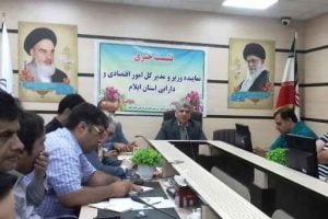 ۷۱ فرصت سرمایه گذاری خارجی در ایلام شناسایی شد