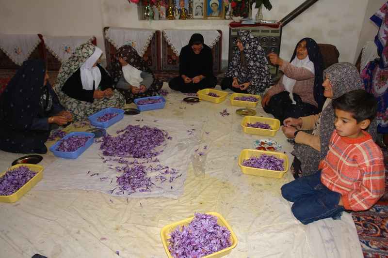 تحکیم امنیت ملی کشور در گرو توانمندسازی زنان روستایی است