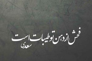 فحش از دهن تو طیبات است!