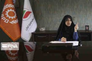 پرداخت پاداش مدیران دستگاه‌ها مشروط به میزان بهره‌وری است