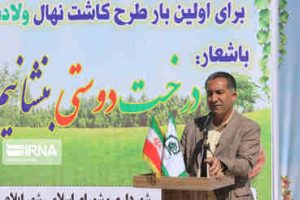 سرانه فضای سبز شهر ایلام چهار برابر شده است