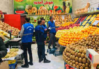 عرضه میوه شب عید ۲۵ اسفند در ایلام آغاز می‌شود