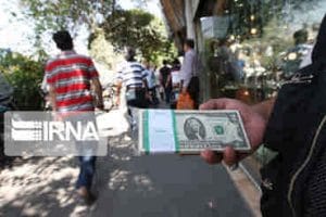 بازار ارز خالی از خریدار/دلالان نگران کاهش بیشتر قیمت‌ها