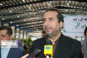 تعداد خودروی خانوارهای ایلامی بالاتر از میانگین کشوری است