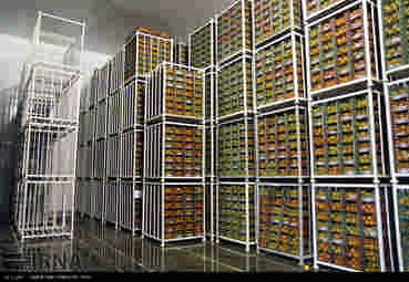 ذخیره سازی ۱۵۰ تن میوه ایام نوروز در ایلام