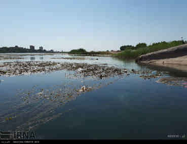 کارخانه آلوده کننده رودخانه چناره موظف به نصب تصفیه کننده شد