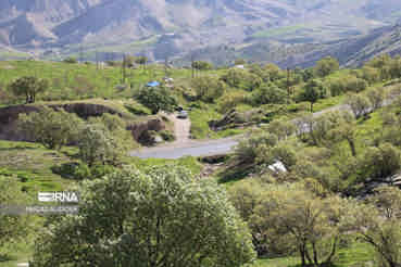 افسونگری خیره کننده طبیعت ایلام
