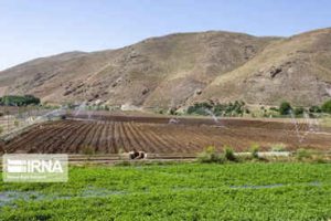 استاندار: سامانه گرمسیری ایلام با ۱۷۰۰ میلیارد تومان اعتبار آماده بهره برداری شد