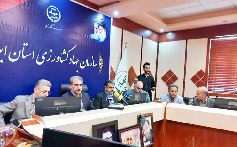 ۸۲ درصد مطالبات گندمکاران پرداخت شد