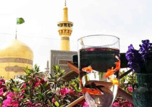 طنین «یا مقلب القوب» دلسپردگان در پیشگاه عصمت هشتم