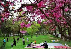 تجدید حیات و زیبایی‌های نوروز در روز سیزدهم
