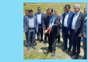آغاز ساخت ۱۰ نیروگاه خورشیدی در ایلام
