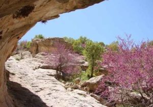 دره ارغوان ایلام: نگین سبز در محاصره بی‌مهر ی!   ✍️ عبدل خزلی