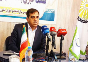 مرکز تحقیقات کشاورزی ایلام دستاوردهای هفته دولت را معرفی کرد