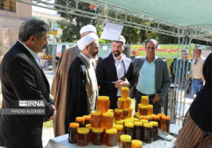 امام جمعه: عسل ایلام، فرصتی بی‌نظیر برای اشتغال و ارزآوری است