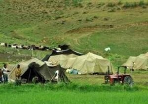 هشدار مدیرکل امور عشایر ایلام درباره پیامدهای کمبود سوخت در مناطق مرزی