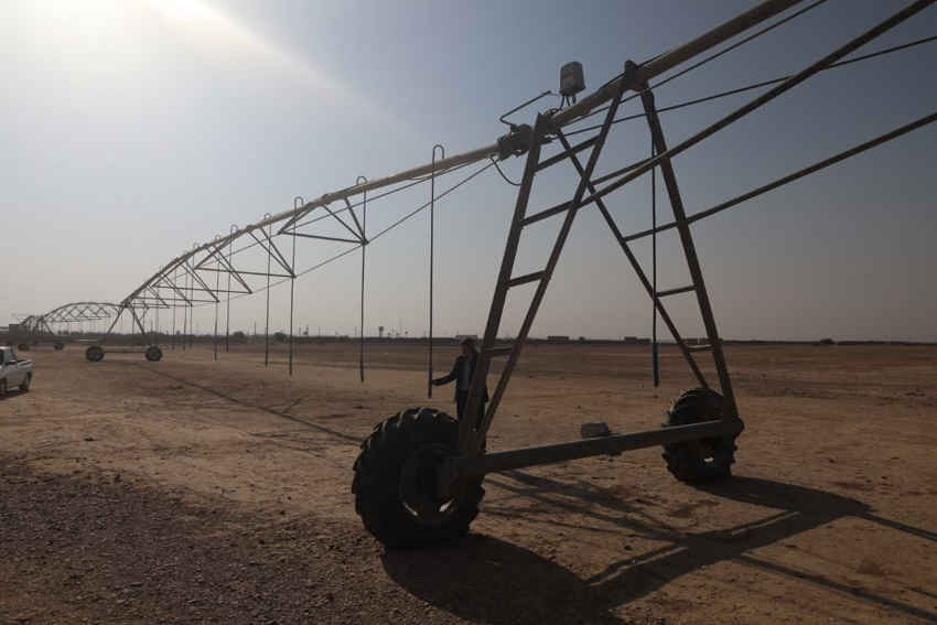 سامانه گرمسیری، مسیری تازه برای رشد اقتصاد کشاورزی ایلام