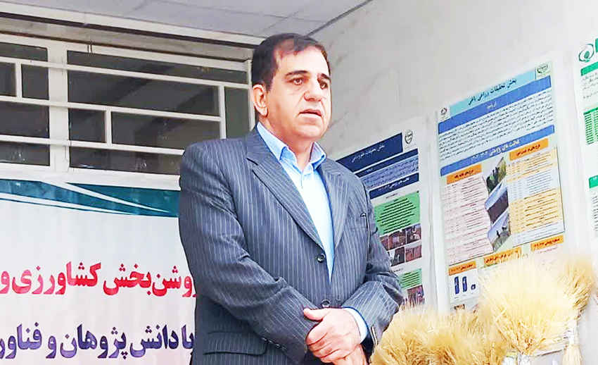 اصلاح الگوی کشت ایلام با تکیه بر پژوهش‌های کاربردی دنبال می‌شود