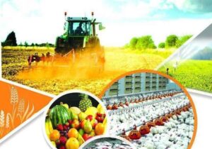 همکاری مرکز تحقیقات کشاورزی ایلام با پژوهشگاه علوم هسته‌ای گسترش می‌یابد