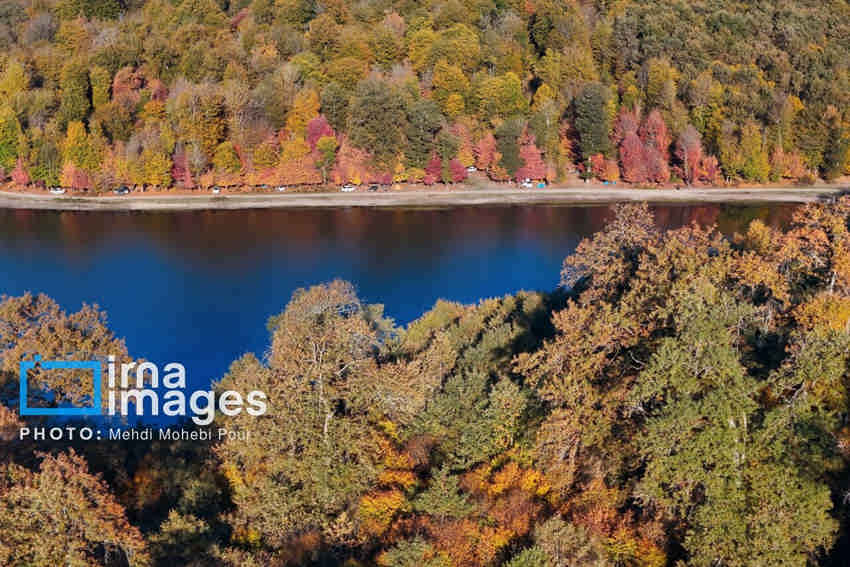 روایتی از نهال کاری در سواحل مازندران / هیرکانی در آغوش کاسپین