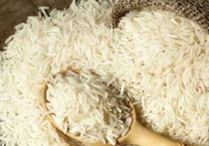 ۲۳ هزار تن برنج وارداتی در بندر بوشهر تخلیه شد
