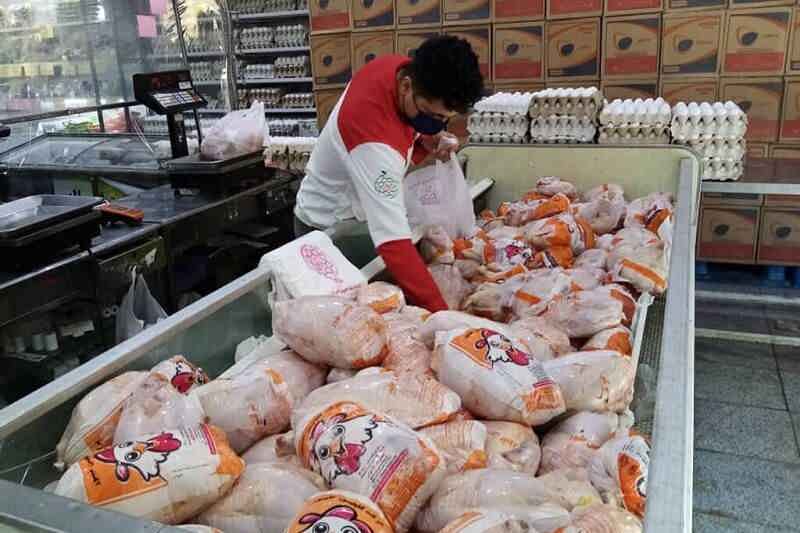 گوشت مرغ استان تهران تامین است/ برخورد جدی با گران‌فروشان