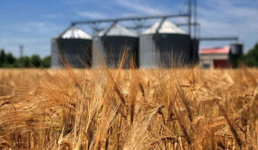 پیش‌بینی تحویل ۱۹۰ هزار تن گندم به سیلوهای دهلران