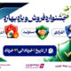 آغاز جشنواره «فروش ویژه بهاره» بیمه نوین