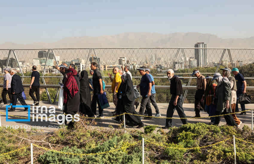 پیاده‌روی خانوادگی؛ درمانی طبیعی برای اضطراب و خستگی