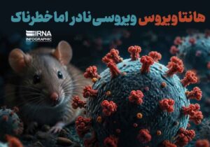 هانتاویروس؛ تهدید محیطی، نه فرد به فرد