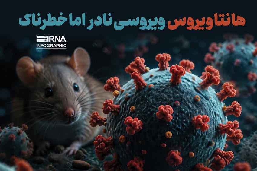 هانتاویروس؛ تهدید محیطی، نه فرد به فرد