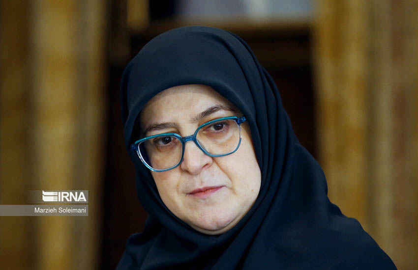 سخنگوی دولت: دشمن با شایعه‌سازی در پی بر هم زدن آرامش روانی جامعه است