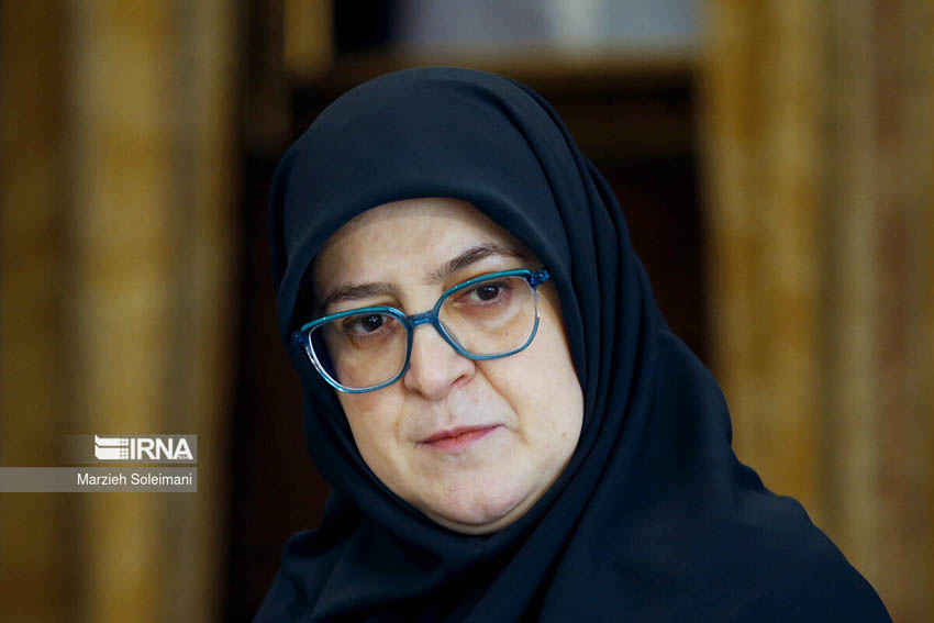 سخنگوی دولت: دشمن با شایعه‌سازی در پی بر هم زدن آرامش روانی جامعه است