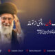 پیام مدیرعامل بیمه تعاون به مناسبت آیین تشییع پیکر مطهر رهبر شهید آیت‌الله سید علی خامنه‌ای