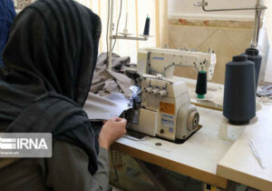 کمیته امداد ایلام ۲۶۰۳ فرصت شغلی برای مددجویان ایجاد کرد