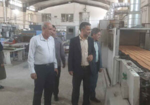 بازدید مدیرکل استاندارد از واحدهای تولیدی استان در راستای برنامه‌های نظارتی هفته دولت