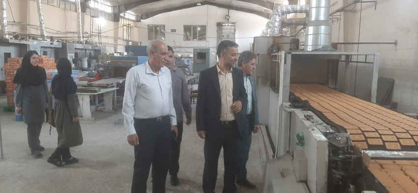 بازدید مدیرکل استاندارد از واحدهای تولیدی استان در راستای برنامه‌های نظارتی هفته دولت