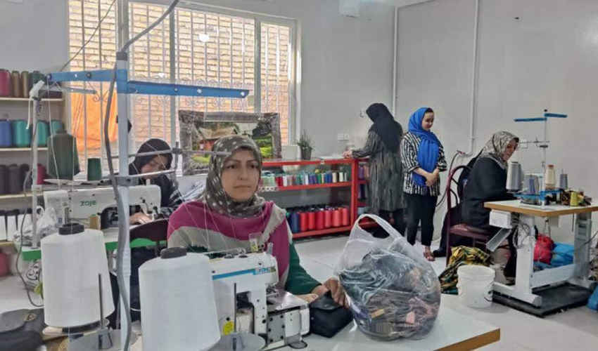 تصویب ۷۷۰ میلیارد ریال تسهیلات اشتغال‌زایی برای مددجویان کمیته امداد ایلام/ فراخوان برای تشکیل پرونده تا ۲۰ مهرماه