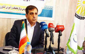 نجفی‌فر: دیپلماسی کشاورزی، فرصتی برای تقویت امنیت غذایی و توسعه همکاری‌های علمی است
